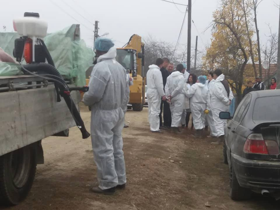 Echipele de combatere a pestei porcine au descins în sat