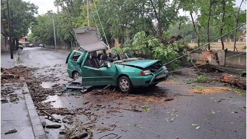 Furtuna a făcut ravagii în București. O persoană a ajuns la spital, după ce un copac a strivit un autoturism