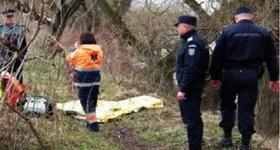 Galerie foto - poza 1