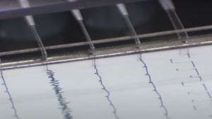 Cutremur în România, vineri. Ce magnitudine a avut și în apropierea căror orașe s-a produs