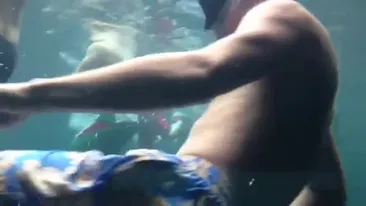 Cel mai bogat fotbalist roman a fost vanat de un rechin urias! Vezi cum era sa il sfasie bestia oceanului!