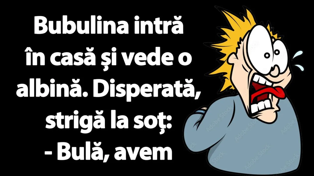 BANC | Bubulina intră în casă și vede o albină