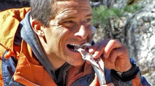 Absolut incredibil! Bear Grylls a fost dat afara de la Discovery! Nu va mai aparea in nicio productie a postului! Vezi motivul uluitor
