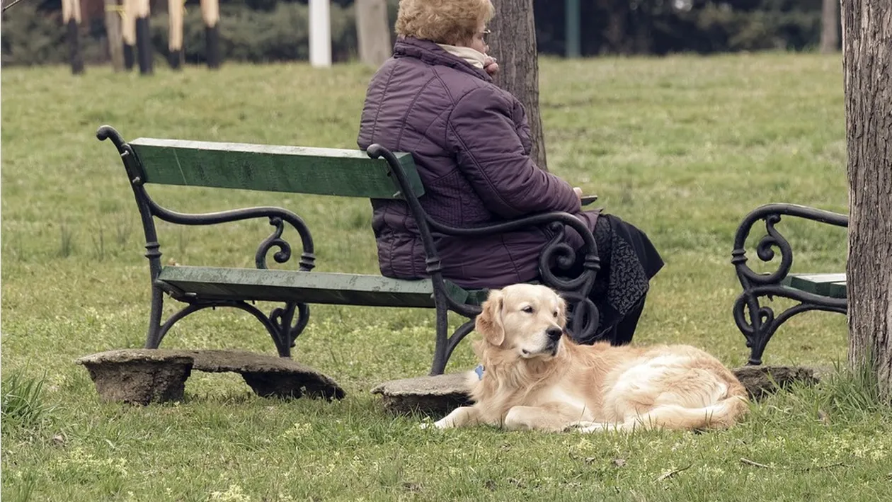 Sfaturi utile pentru persoanele vârstnice în plină pandemie de coronavirus