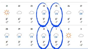 Orașele din România în care ninge de Crăciun și de Revelion. Meteorologii Accuweather au întocmit lista