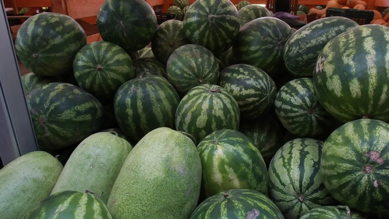 Se plang ca raman cu marfa in galantare dar... Cultivatorii de pepeni ar puteatransforma fructele nevandute in aur! Vezi cum