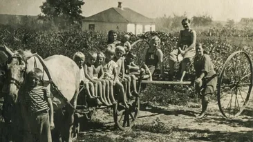 De ce erau slabi țăranii în 1895. Ce aliment consumau și de 3 ori pe zi