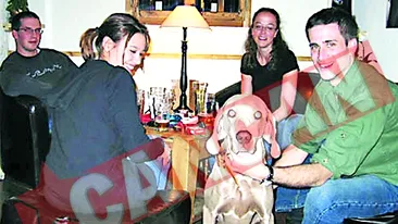 Bar bucurestean pentru caini si pisici