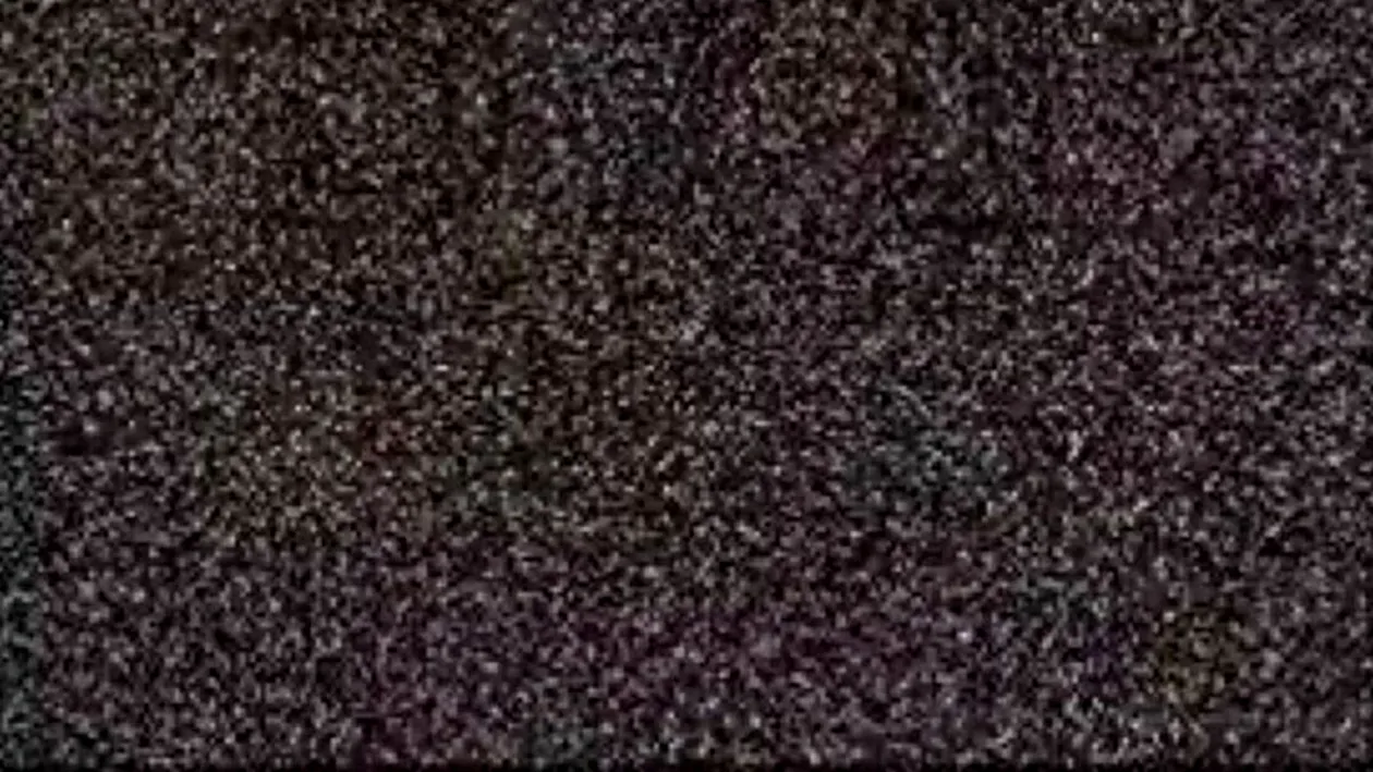 Iluzie optică virală | Numai 1% dintre genii văd numărul ascuns în această imagine, în mai puțin de 30 de secunde