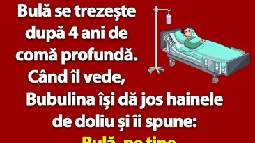 BANC | Bulă se trezește după 4 ani de comă profundă