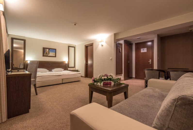 Lion hotel Borovets 4*/ sursă foto: Bookin