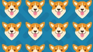 Test de perspicacitate | Care dintre acești 16 căini este diferit de toți ceilalți? Detaliul pe care puțini îl observă