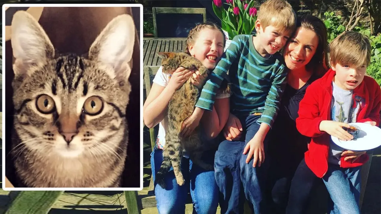 Familia din imagine și-a pierdut pisica în 2017. Ireal cum au găsit-o acum, după 6 ani, tocmai în Australia. Ce se întâmplase, de fapt