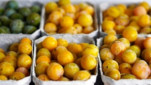 Fructul copilăriei se vinde cu 200 de lei kilogramul, în mai 2026: ”Nu m-aș fi așteptat să dau banii pe așa ceva”