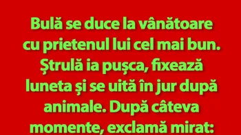 BANC | Bulă și Ștrulă se duc la vânătoare