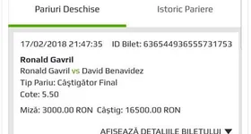 Galerie foto - poza 1