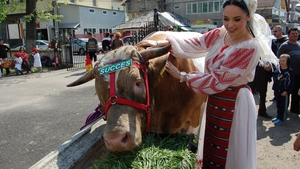 Andreea Marin a vândut carne tocată la o măcelarie de cartier si a stat la coada vacii cu un ceas de 8000 de euro la mână