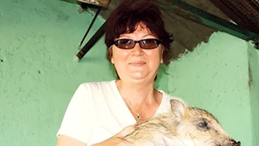 Un mistret a ajuns atractia Delfinariului!