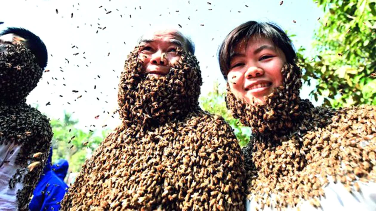 S-au lasat acoperiti de mii de albine