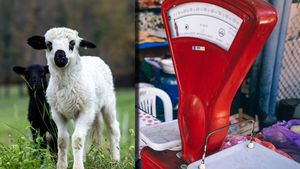 Cât a ajuns să coste un kilogram de carne de miel pentru masa de Paște. Românii au început să se gândească la alte preparate