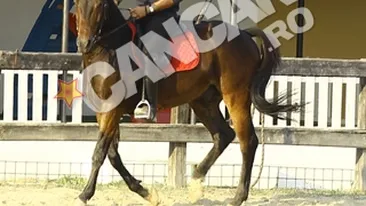 VIDEO Nu il mai joaca pe Codrut Fieraru, dar a ramas cu pasiunea pentru cai! Denis Stefan si-a dat liber la calarit!