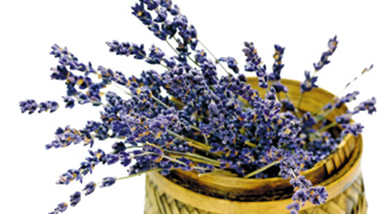 Trucuri prin care iti improspatezi casa