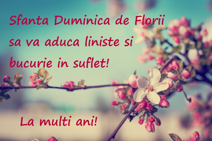 Mesaje, SMS-uri și felicitări virtuale de Florii, pentru toți cei care poartă nume de flori. Cele mai frumoase urări