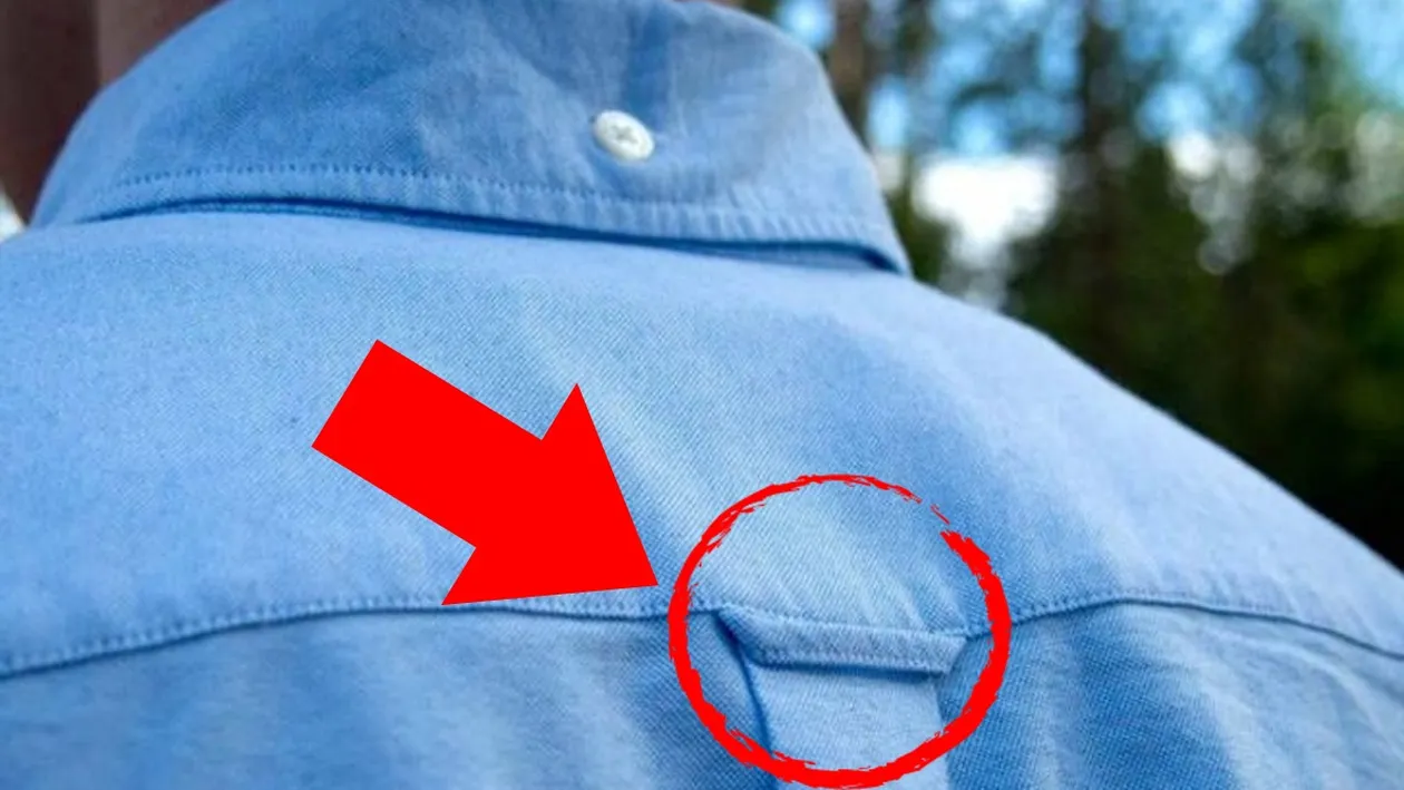 Ce rol are bucla de pe spatele tuturor cămășilor, de fapt?! La asta sigur nu te-ai fi gândit