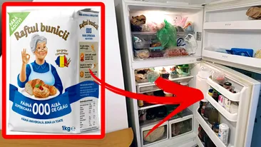Știați că făina trebuie ținută în frigider? Care este motivul