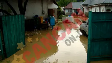 Ploaia a facut prapad in tara