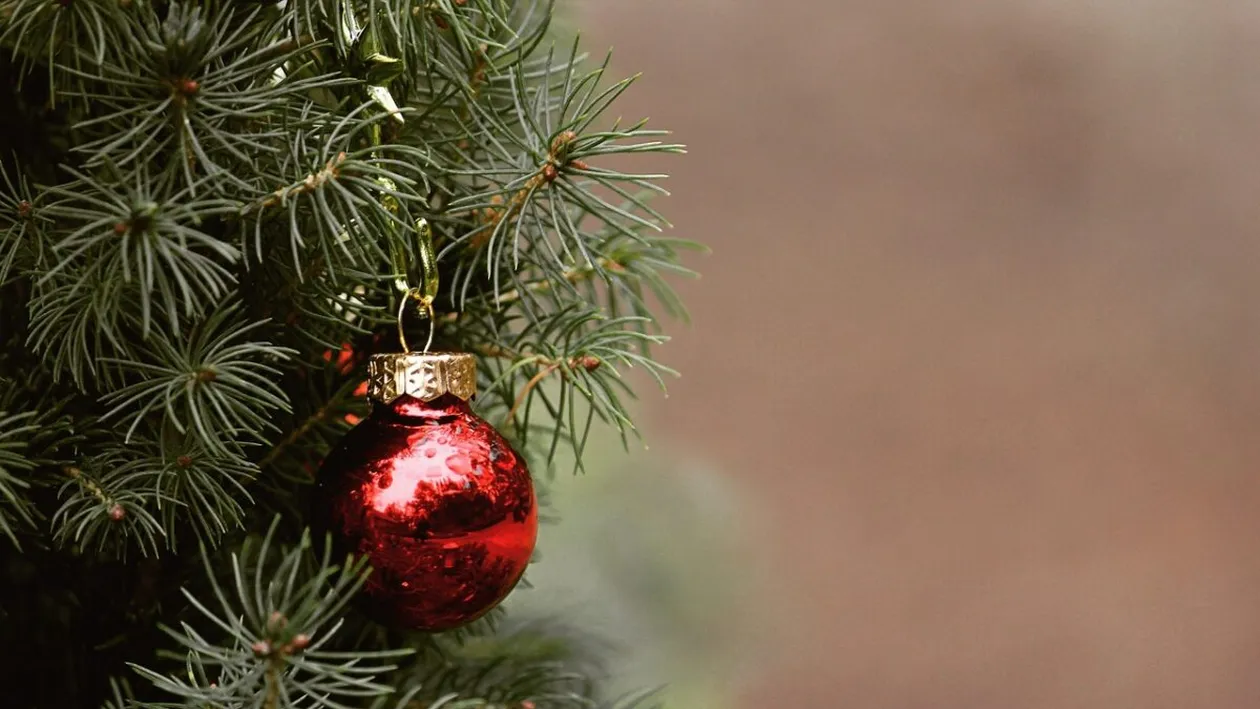 Cum arată bradul de 10.000 de lei din Târgu Jiu, înalt de 20 de metri. Localnicii l-au împodobit cum au dorit