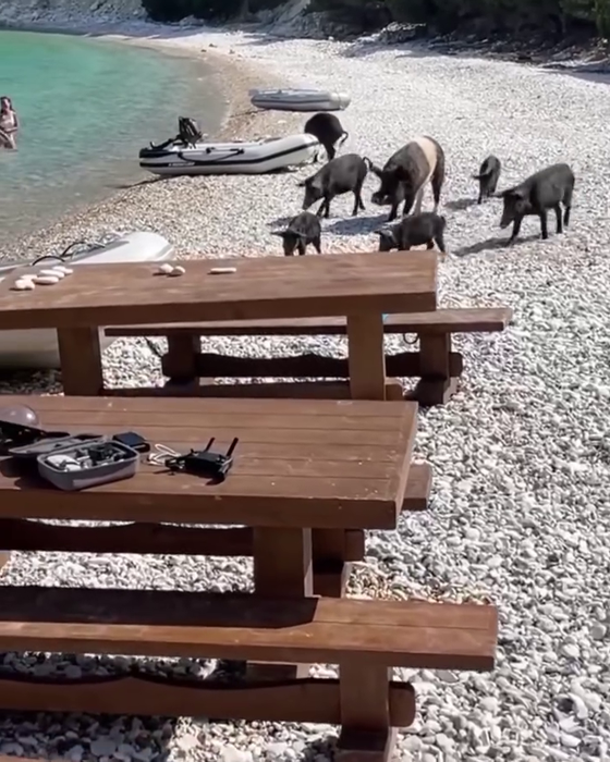 Sursa foto: Instagram Ithaki island