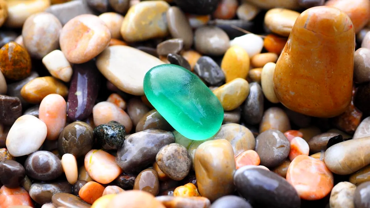 Cum arată animalul care se hrănește cu pietre. E singurul din lume care face asta