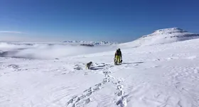 Galerie foto - poza 4