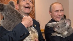 Guvernul Australiei, acuzat că investeşte prea mult în urşii koala!