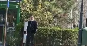 Galerie foto - poza 2