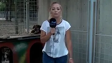 VIDEO Moment penibil pentru o reportera din Romania! Ce a patit in timp ce prezenta o stire: S-a p***t pe mine! Bai, nene!