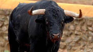 Bărbat din Bacău, ucis de un taur în timp ce făcea plajă!