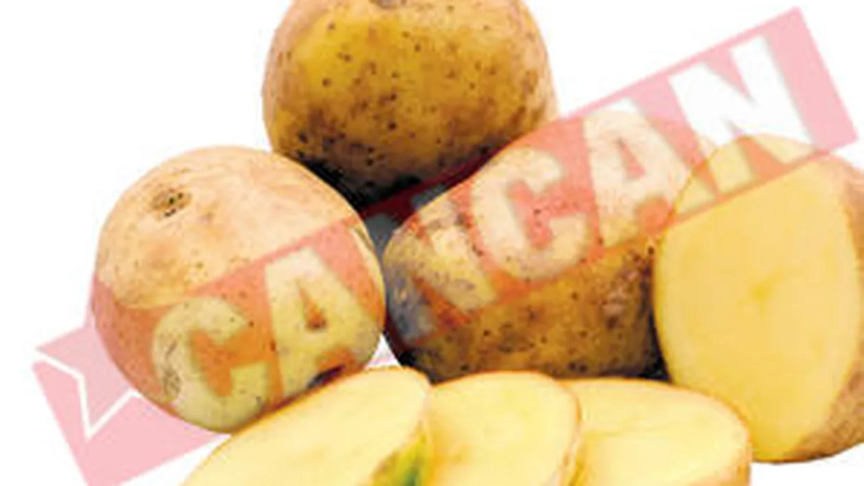 Poti trata naturist bolile sezoniere!