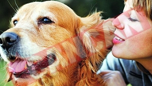 Animalele de companie va pot feri de boli
