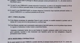 Galerie foto - poza 3