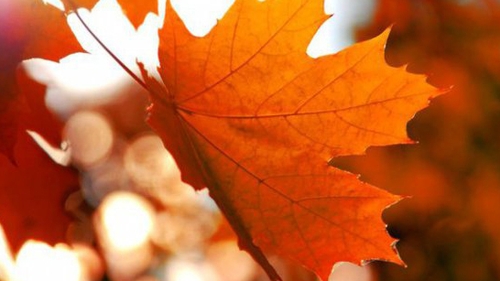 METEO 2 OCTOMBRIE! Anunţul de ultimă oră făcut de meteorologi