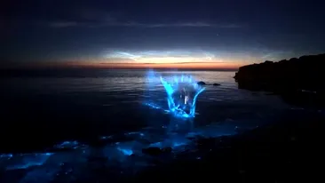Cel mai spectaculos fenomen natural al Paștelui. Cum arată apa mării când ia foc. VIDEO
