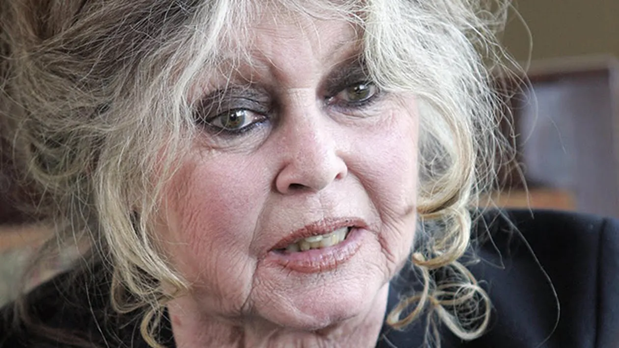 Brigitte Bardot denunţă demersurile pentru eutanasierea câinilor maidanezi din România