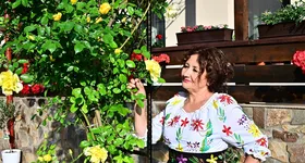 Galerie foto - poza 4