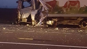 Mai multe persoane au murit într-un accident grav pe E 85!