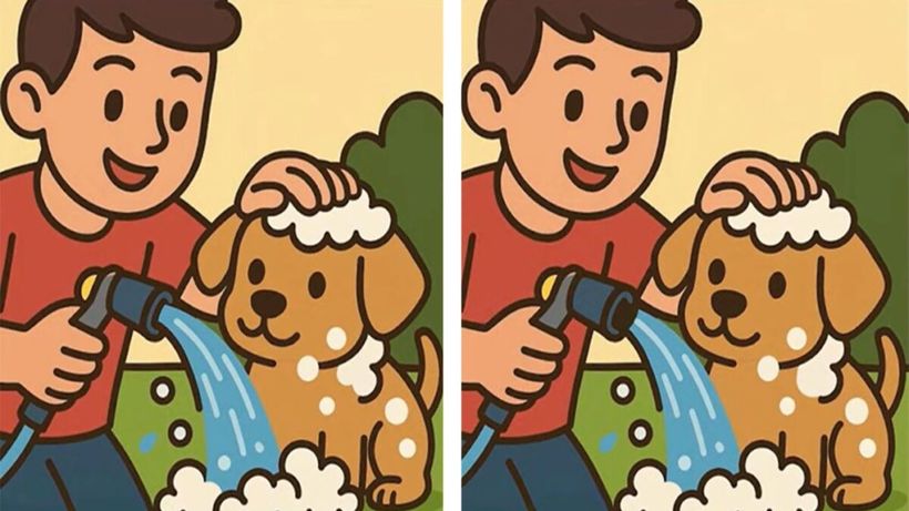 Test de logică | Aceste două imagini nu sunt identice, chiar dacă par. Identificați 3 diferențe în jumătate de minut!