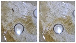 Un bărbat din Câmpina a stârnit un val de controverse după ce a filmat apa de la robinet. Ireal ce conținea, de fapt