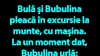 BANC | Bulă și Bubulina pleacă în excursie la munte, cu mașina