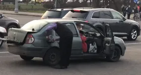 Galerie foto - poza 2